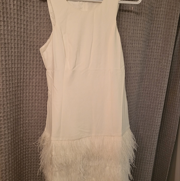 Feather Dress - Picture 3 of 3